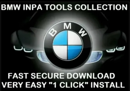 INPA Fehler error