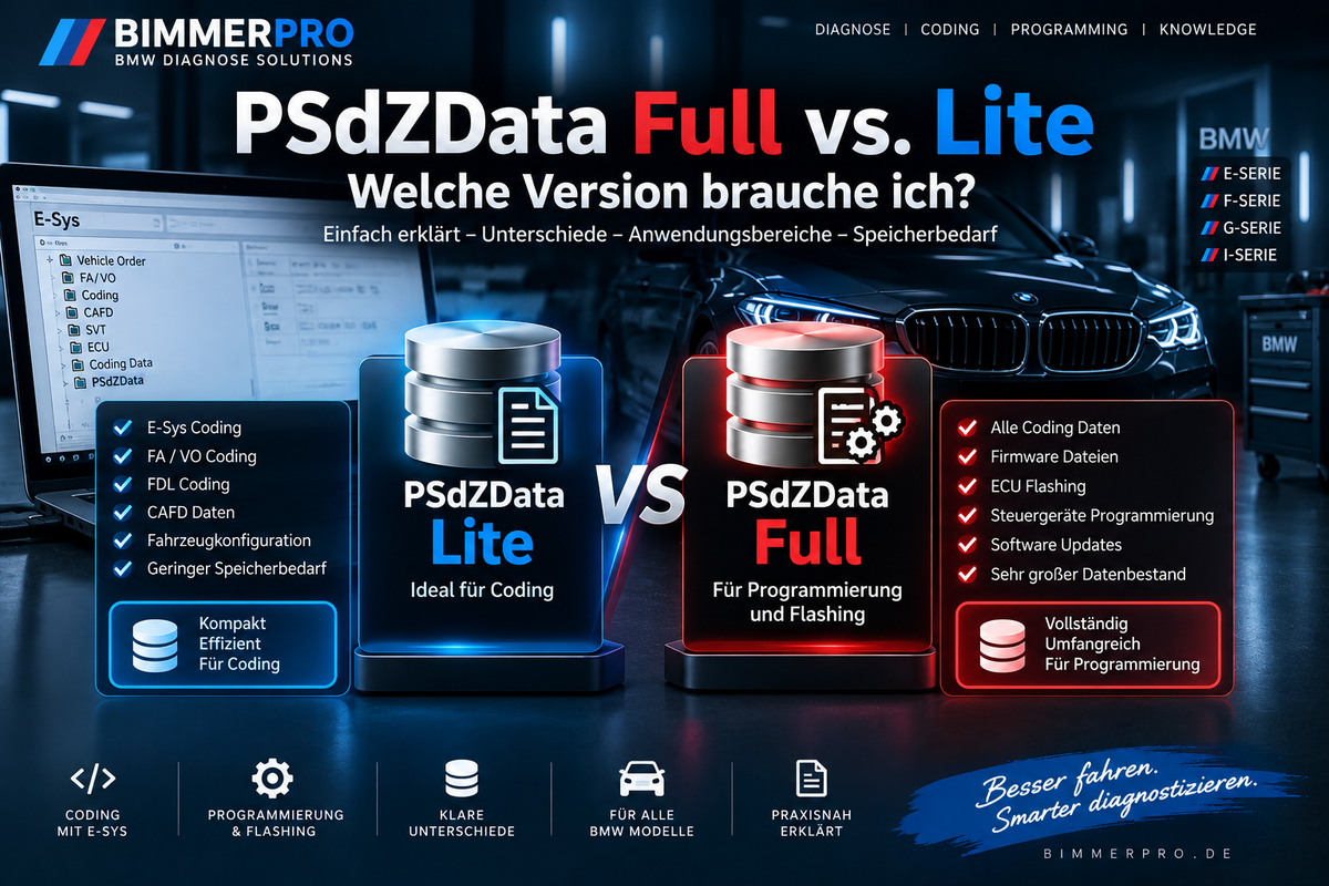 PSdZData Full vs Lite für BMW E-Sys – Unterschied zwischen Coding, ECU-Flashing, Programmierung und Speicherbedarf