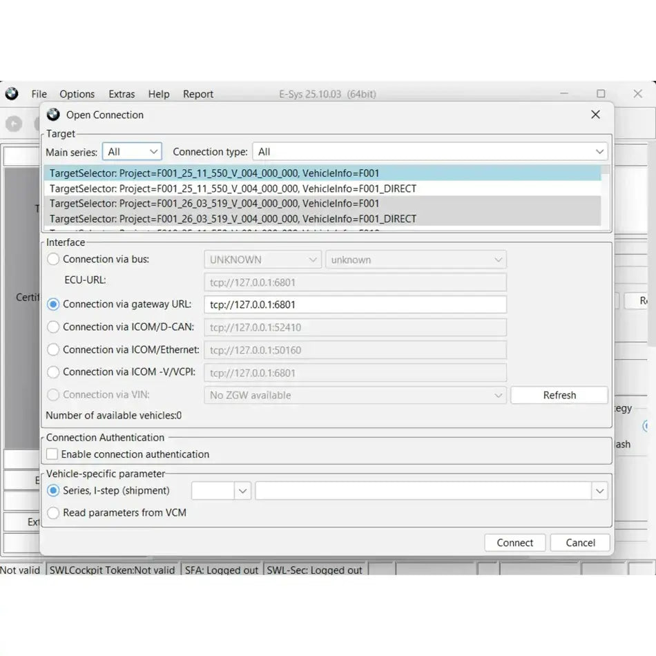 E-Sys 25.10.03 Codierungssoftware Screenshot der Verbindungsoptionen und Zielauswahl.